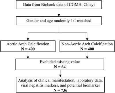 The impact of fetuin-A on predicting aortic arch calcification: secondary analysis of a community-based survey